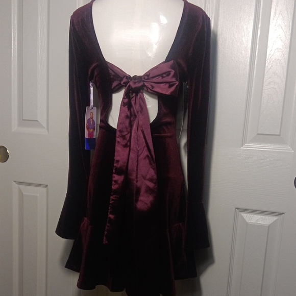 NWT. Johnny Wujek Chic Long Sleeve Velvet Dress in Plum/Deep Burgundy XS - Picture 5 of 14